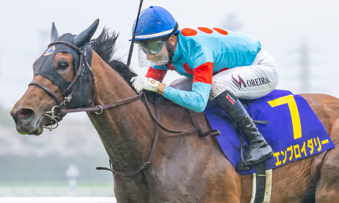 エンブロイダリー