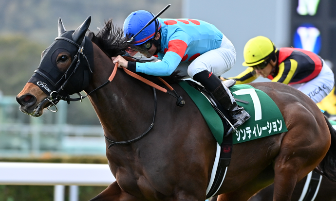 シンティレーション